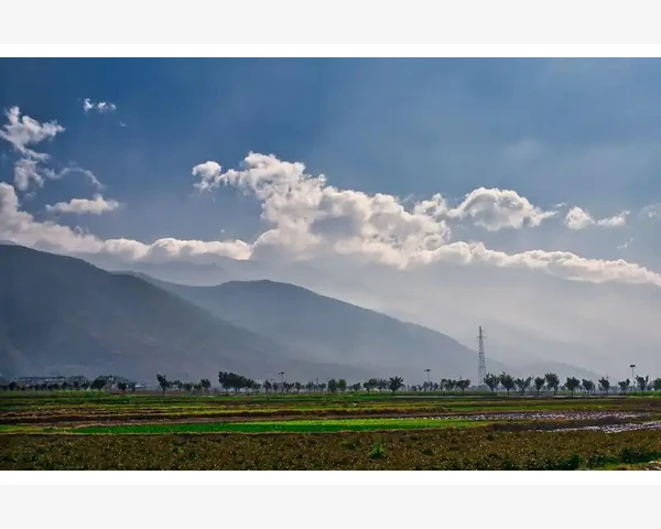 儿童健脾的药有哪些？为什么健脾对儿童很重要？