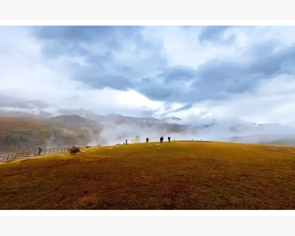 清肺化痰丸成人用：促进呼吸系统健康的中医秘方